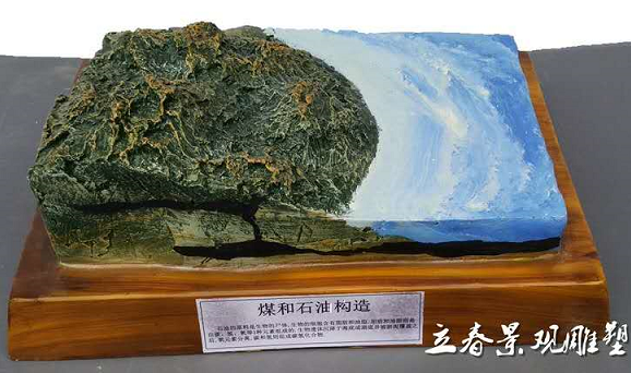 煤和石油構(gòu)造